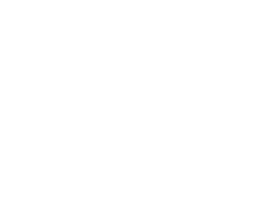 Bunny Studio