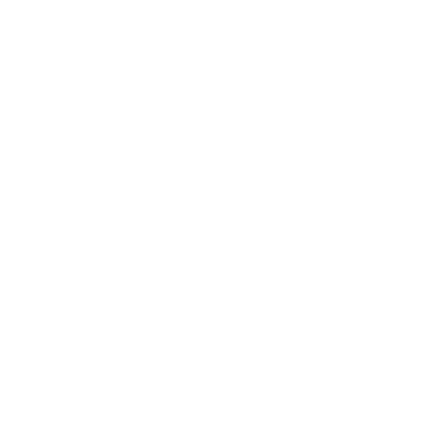 DG Studios